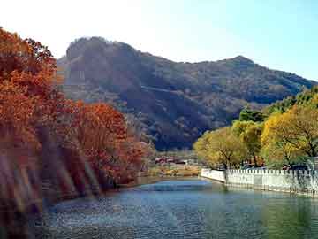 澳门二四六天天彩图库，液氨